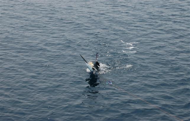 _wsb_643x412_DSC_0444+$5BDesktop+Aufl$C3$B6sung$5D