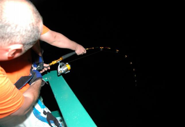 _wsb_644x443_DSC_0245+$5BDesktop+Aufl$C3$B6sung$5D