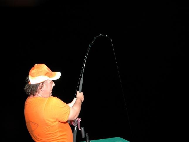 _wsb_645x484_DSC_0277+$5BDesktop+Aufl$C3$B6sung$5D