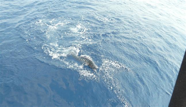 _wsb_647x373_P1080263+$5BDesktop+Aufl$C3$B6sung$5D