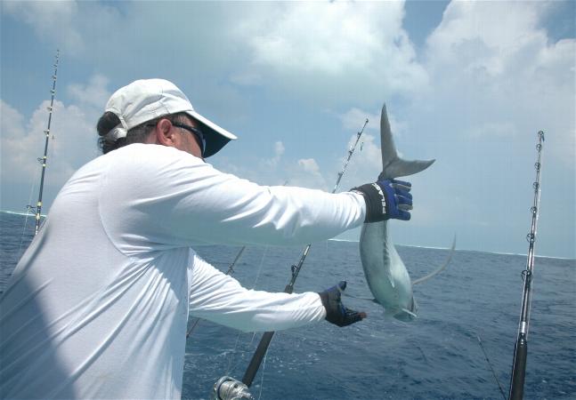 _wsb_647x450_DSC_0191+$5BDesktop+Aufl$C3$B6sung$5D